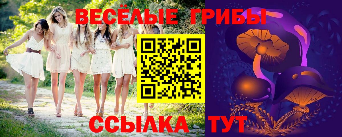 Псилоцибиновые грибы Psilocybe  закладка  Фрязино  Вход с VPN  Галлюциногенные грибы мицелий 